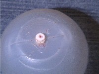 eraser in hole in laundry ball