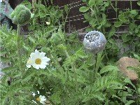 unpainted bird feeder in garden